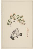 Shi chu chai chien p'u (Ornamental Stationery of the Ten Bamboo Studio)