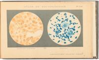 Atlas de Bacteriologie