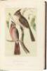 Illustrations of the Birds of California, Texas, Oregon, British and Russian America. Intended to contain Descriptions and Figures of all North American Birds... - 9