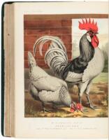 The Illustrated Book of Poultry. With Practical Schedules for Judging, Constructed from Actual Analysis of the Best Modern Decisions