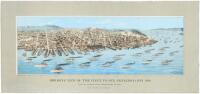 Birdseye View of the Fleet in San Francisco Bay, 1908