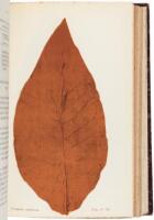 Bound volume of 19 pamphlets and extracts on Tobacco, most from South American countries