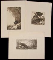 Three Original Etching by the Detmold Brothers