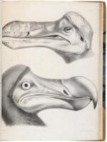 The Dodo and Its Kindred; or, The History, Affinities, and Osteology of the Dodo, Solitaire and Other Extinct Birds of the Islands Mauritius, Rodriguez, and Bourbon