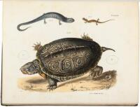 Zoology of New-York, or the New-York Fauna. Part III. Reptiles and Amphibia. [and] Part IV. Fishes