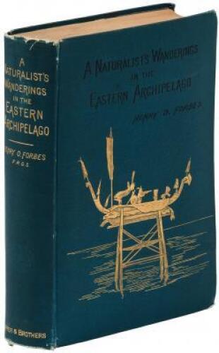 A Naturalist's Wanderings in the Eastern Archiepelago