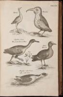 The Ornithology...Wherein All the Birds Hitherto Known, Being Reduced into a Method Suitable to Their Natures, are Accurately Described...To Which are Added, Three Considerable Discourses...by John Ray