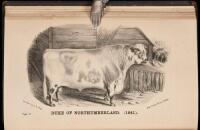 History of the Short-Horn Cattle: Their Origin, Progress and Present Condition