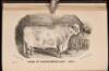 History of the Short-Horn Cattle: Their Origin, Progress and Present Condition