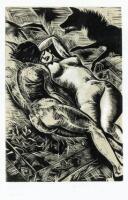 A Suite of eight Woodcuts to Illustrate Steppenwolf by Hermann Hesse