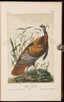 The Birds of America, from Drawings Made in the United States and Their Territories [with] The Quadrupeds of North America