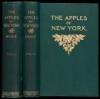 The Apples of New York