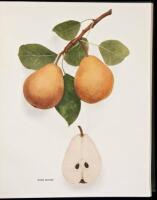 The Pears of New York