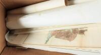Collection of loose charts from the U.S. Coast Survey, many with modern hand-coloring