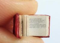 The Rose Garden of Omar Khayyam - two miniature copies