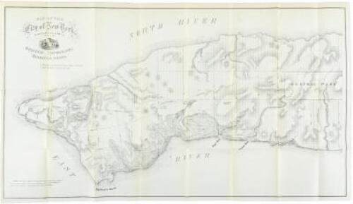 Map of the City of New York, From the Battery to 80th Street, Showing the Original Topography of Manhattan Island [in] Report of the Select Committee appointed to investigate the Health Department of the City of New York