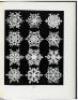 Snow Crystals