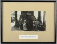 Photographic print of "General Fremont, Wife and Daughter at Big Trees, Near Santa Cruz, California, Ca. 1880