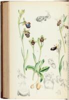 Contributions to the Flora of Mentone and to a Winter Flora of the Riviera Including the Coast from Marseilles to Genoa