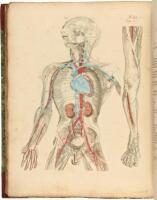 A Compendium of the Anatomy of the Human Body