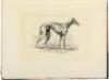 Coursing and Falconry - 3
