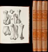 The Zoology of the Voyage of H.M.S. Beagle, Under the Command of Captain Fitzroy during the years 1832-1836