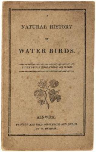 A Natural History of Water Birds