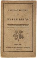 A Natural History of Water Birds