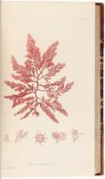 The Nature-Printed British Sea-Weeds. A History, Accompanied by Figures and Dissections, of the Algae of the British Isles