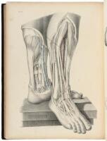 Surgical Anatomy...with Sixty-Eight Coloured Plates