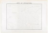 City of Stockton [in upper margin]- Surveyed for the Proprietor Charles M. Weber by Richd. P. Hammond Bvt. Major 3d. Artillery June, 1849