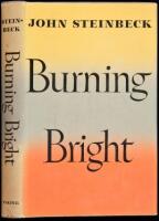 Burning Bright: A Play in Story Form