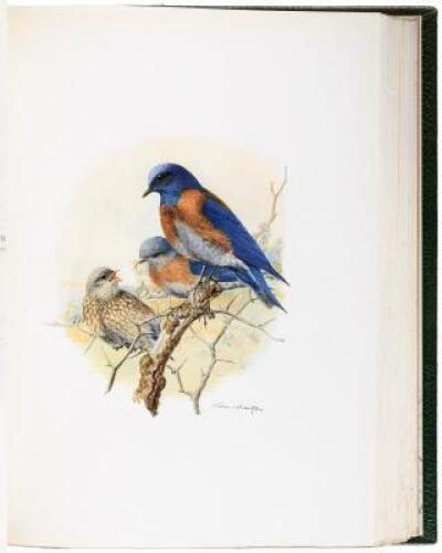 The Birds of California: A Complete, Scientific and Popular Account of the 580 Species and Subspecies of Birds Found in the State