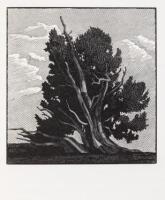 California in Relief. Thirty Wood Engravings by Richard Wagener