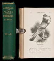 The Variation of Animals and Plants Under Domestication