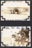 Photo album of women pilots in the 1930s, including early members of the "ninety-nines" - 6