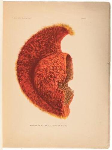 Hawaiian Feather Work. Memoirs of the Bernice Pauahi Bishop Museum of Polynesian Ethnology and Natural History