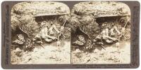 European War Stereoviews