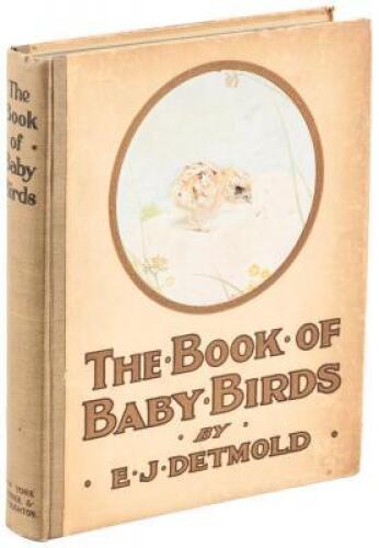 The Book of Baby Birds