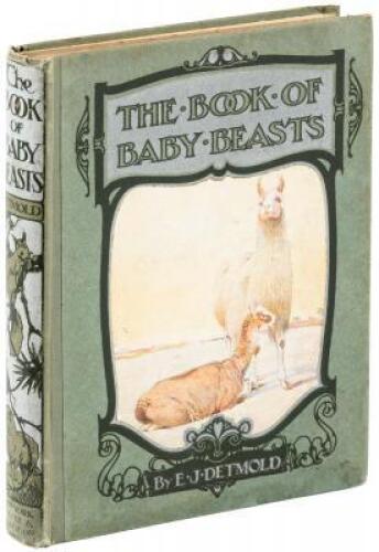 The Book of Baby Beasts