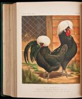 The Illustrated Book of Poultry. With Practical Schedules for Judging, Constructed from Actual Analysis of the Best Modern Decisions