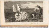 The Gallery of Nature and Art: or, A Tour Through Creation and Science. Comprising New & Entertaining Descriptions of the most surprising volcanoes, caverns, cataracts, earthquakes, mines, minerals, monuments. And various wonderful and stupendous Phenomen