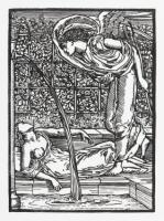 The Story of Cupid and Psyche. The forty-four wood-engravings designed by Edward Burne-Jones and mostly engraved by William Morris
