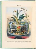 River Gardens; being an Account of the Best Methods of Cultivating Fresh-Water Plants in Aquaria