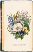 British Wild Flowers. Illustrated by John E. Sowerby. Described, with an Introduction and a Key to the Natural Orders, by C. Pierpoint Johnson