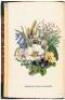British Wild Flowers. Illustrated by John E. Sowerby. Described, with an Introduction and a Key to the Natural Orders, by C. Pierpoint Johnson