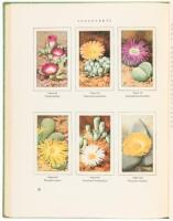 Two Volumes with Color Plates on Cacti and Other Succulents