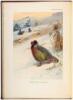A Monograph of the Pheasants - 3