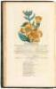 Flores Poetici. The Florist's Manual: Designed as an Introduction to Vegetable Physiology and Systematic Botany for Cultivators of Flowers. - 3