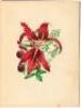 Flora's Dictionary - 3